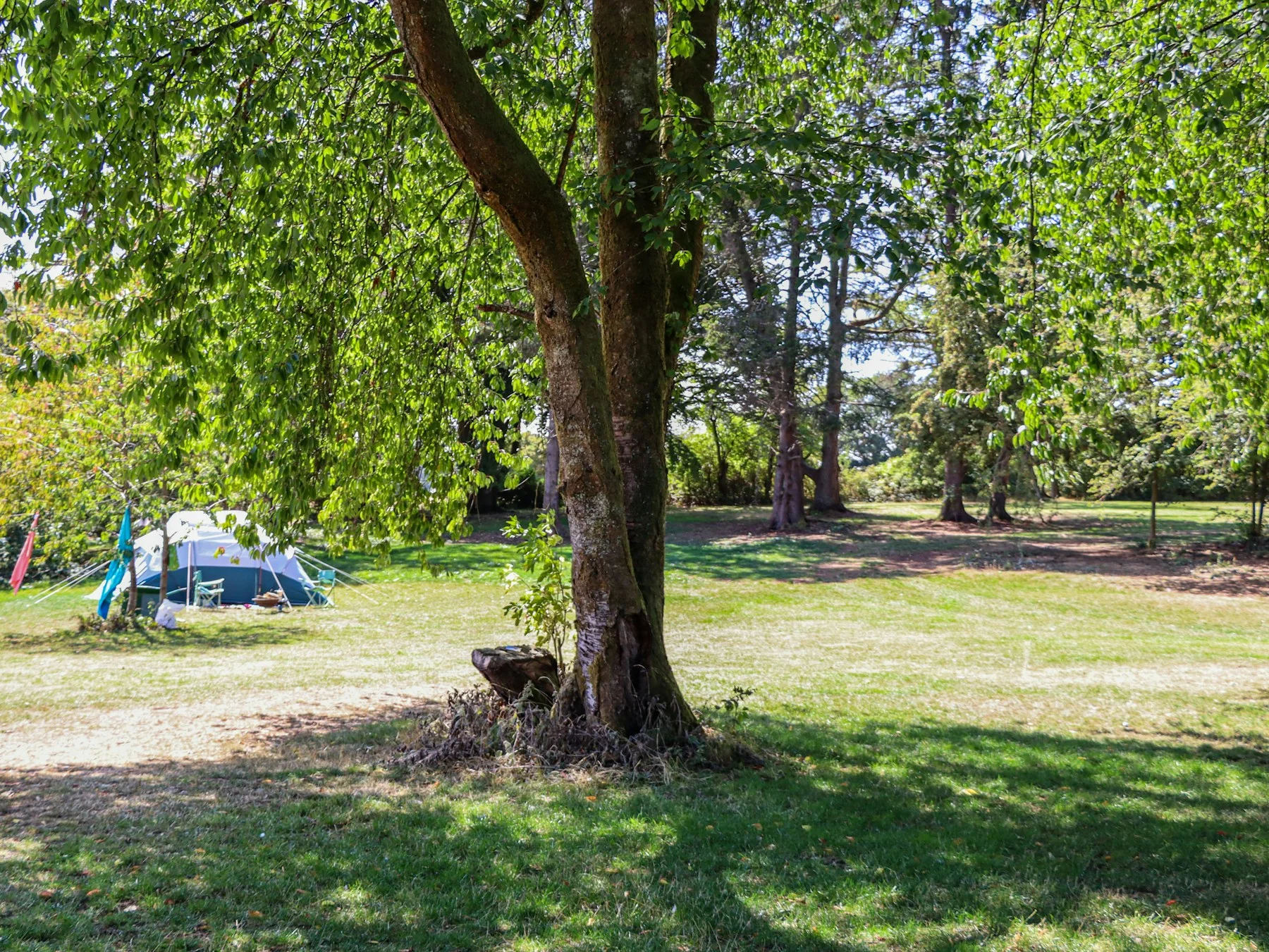 A First Weekend Camping Kit, Without the Excess